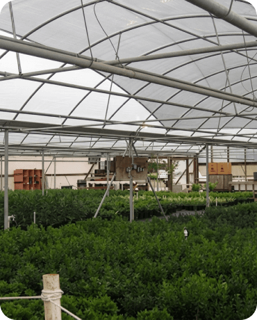 2009 - Greenhouse Conversion