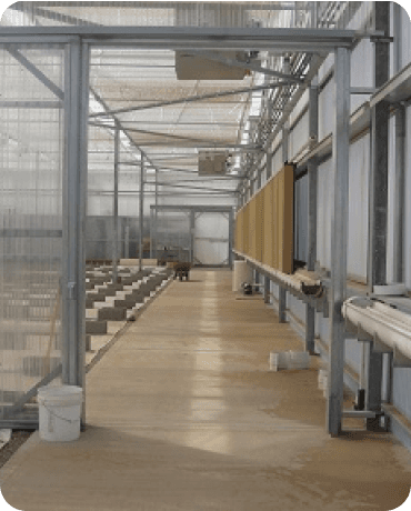 2008 - GP-50 Multi Span Greenhouse