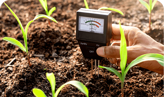 Crop Analysis