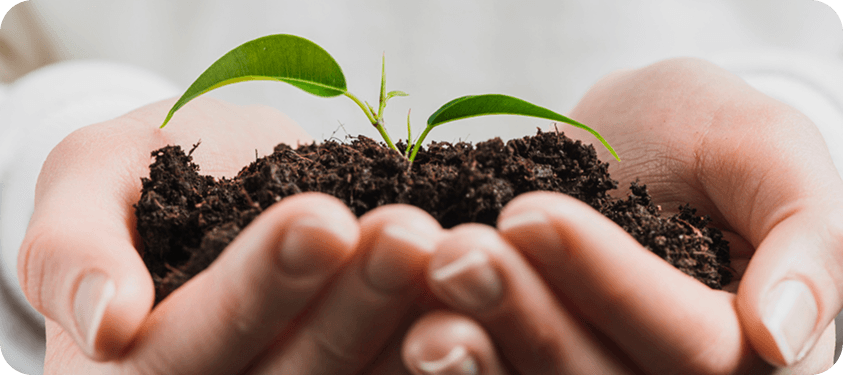 Growing a More Sustainable Future