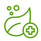 Plant Health